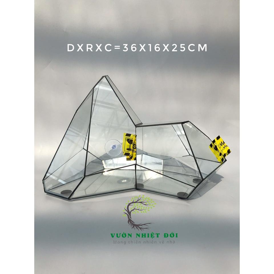 Bể Terrarium Đa Giác Setup Bán Cạn Để Bàn Làm Việc