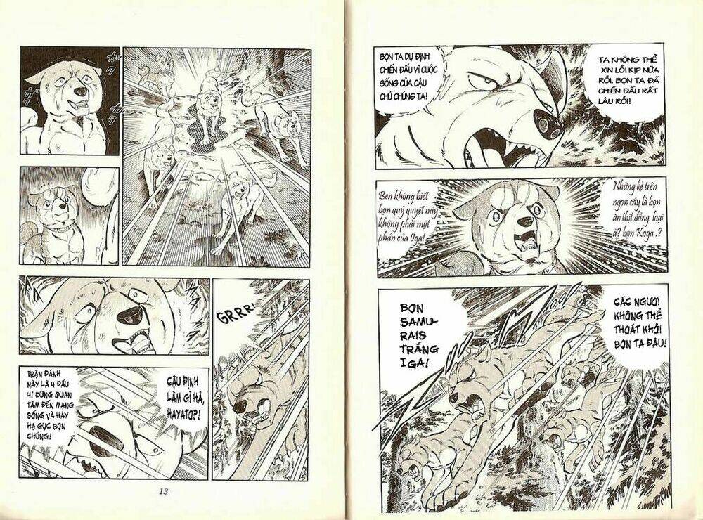 chú chó có nghĩa - ginga nagareboshi gin chapter 19 5