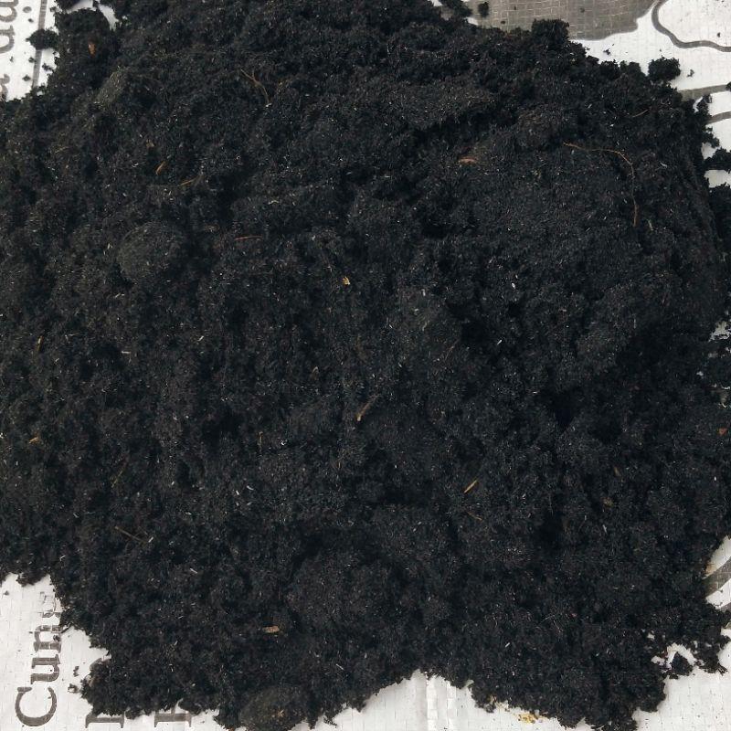 Tro Trấu Trồng Cây