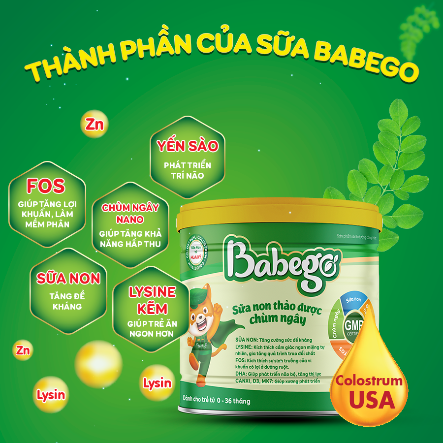 Sữa non thảo dược chùm ngây Babego 342gram cải thiện biếng ăn, táo bón, chậm tăng cân, hay ốm vặt - Dòng Cao Cấp