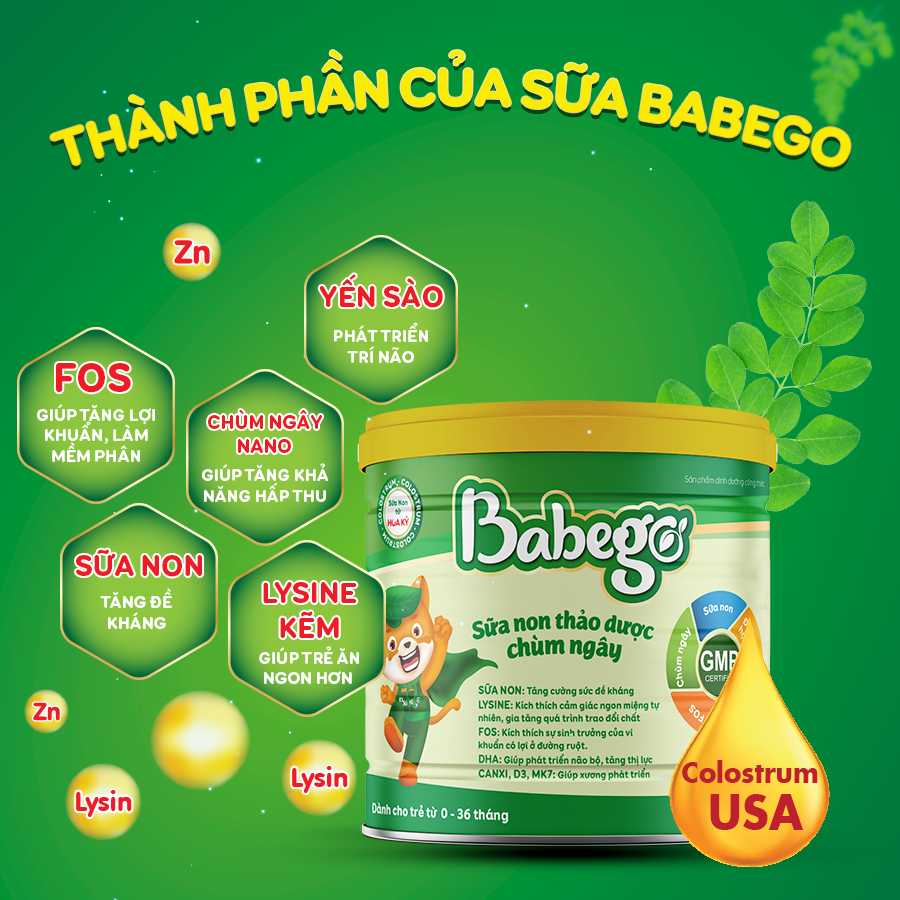 [Tặng bộ ô tô đồ chơi] Sữa non thảo dược chùm ngây Babego 342gram cải thiện biếng ăn, táo bón, chậm tăng cân, hay ốm vặt - Dòng Cao Cấp