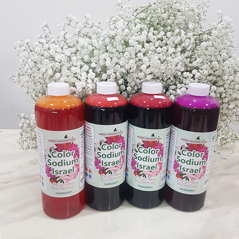 Dung Dịch Nhuộm Hoa Cắt Cành Đổi Màu theo Công Nghệ Israel giúp hoa nhuộm đổi màu theo ý muốn – The Color Sodium for Fresh Flowers