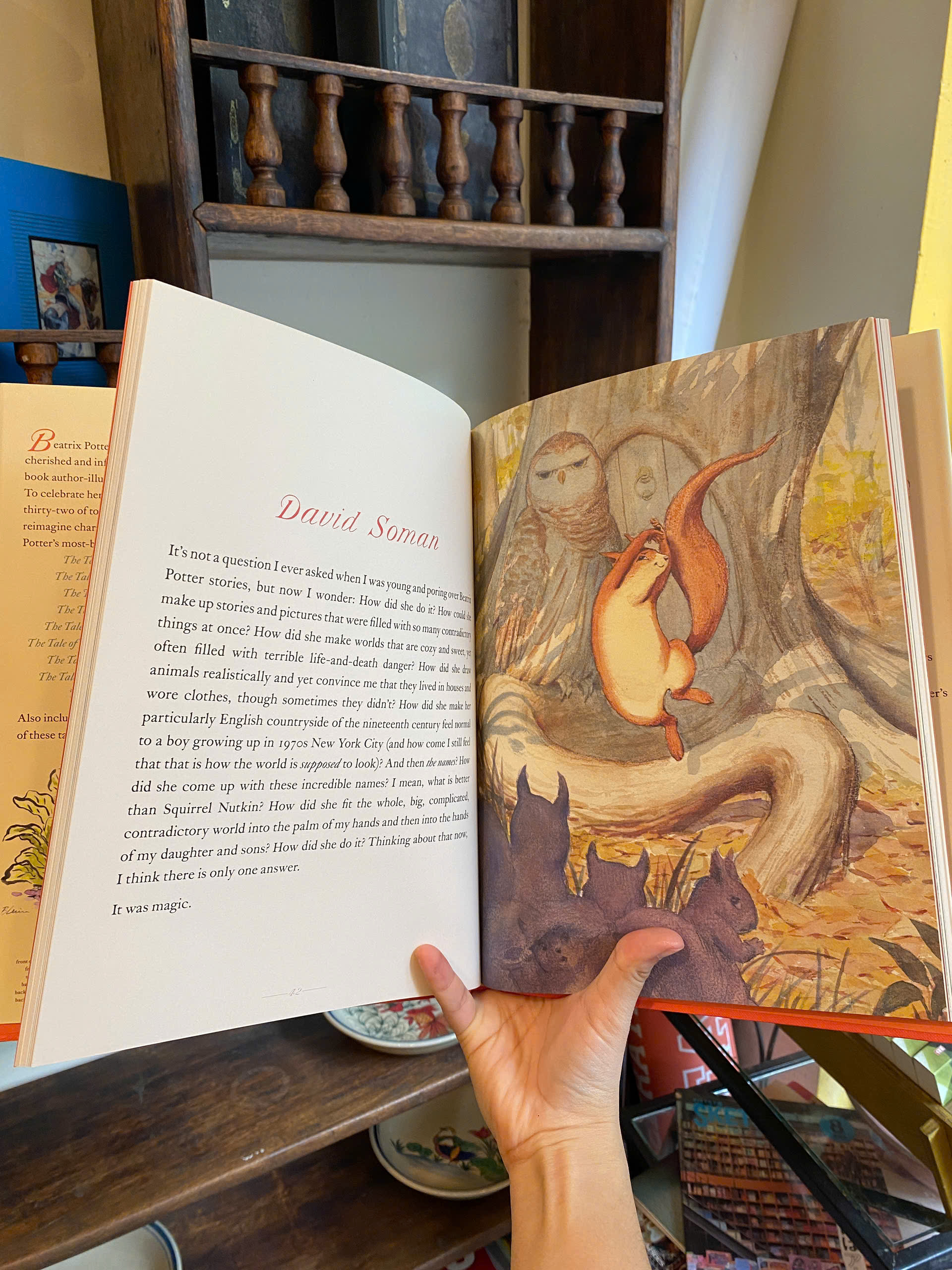 Sách - A Celebration of Beatrix Potter | Children Hardcover Picture Books / Bìa cứng / Ngoại văn