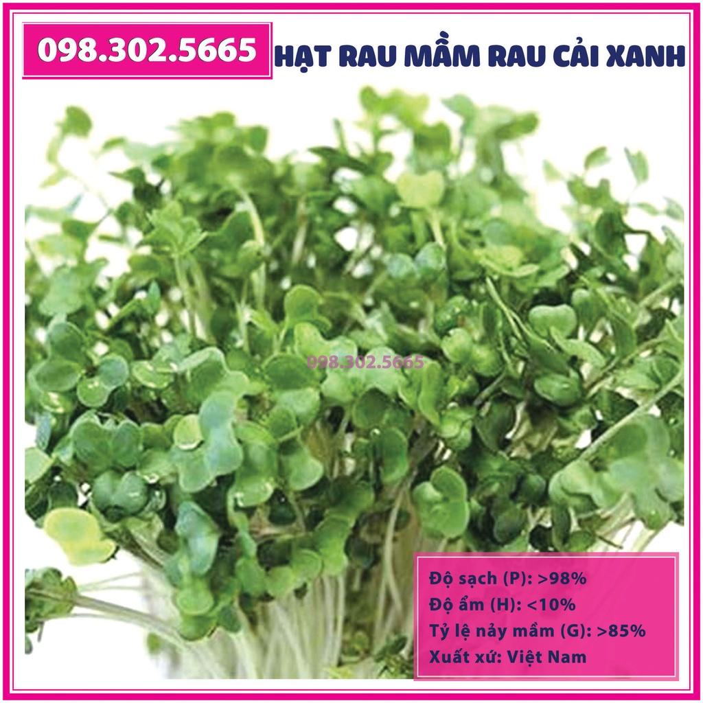 Bộ 2 gói Hạt rau mầm rau cải xanh - gói 50g - Trồng rau mầm sạch, rau mầm hữu cơ an toàn tại nhà