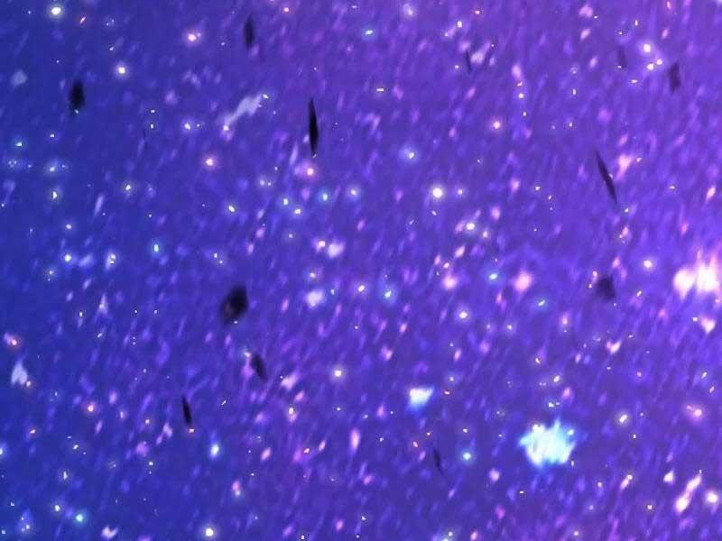 Gậy Gỗ Cấp 99+ chapter 82.2 79