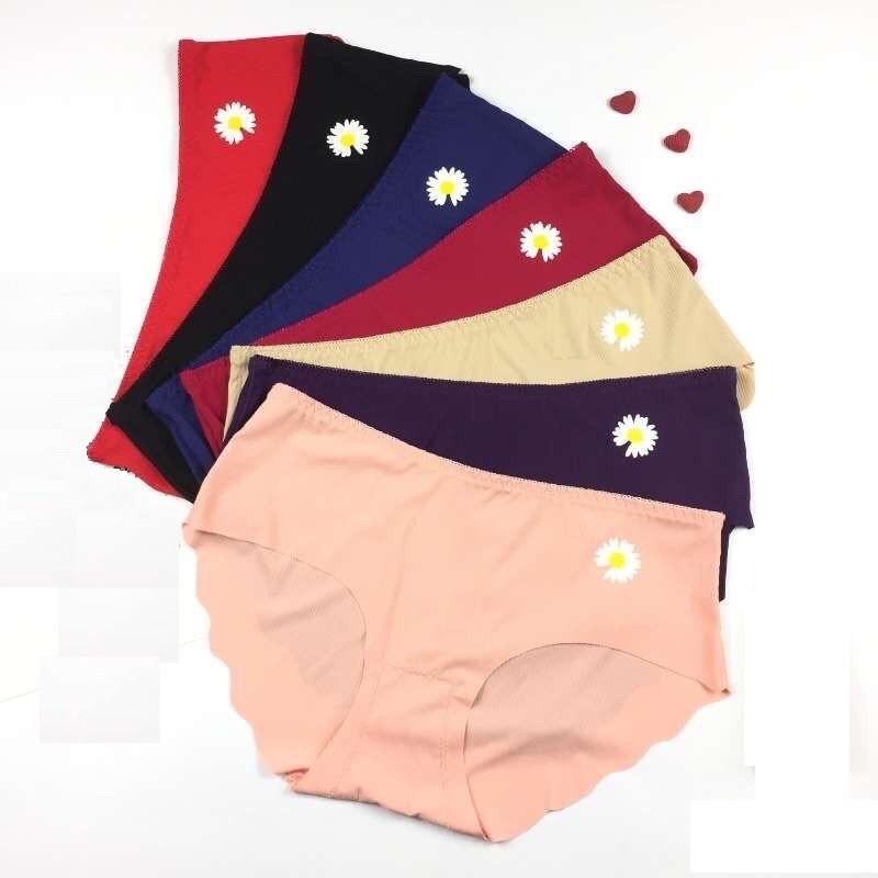 COMBO 5 QUẦN LÓT NỮ SU GÂN TĂM HOA CÚC 3239