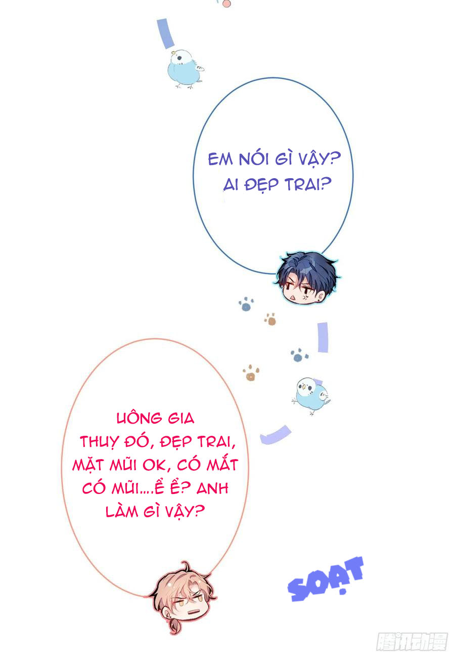 lại bị nam thần chọc trên hot search! chapter 41 33