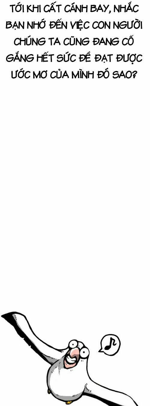 earth, human, and animal chapter 1 17