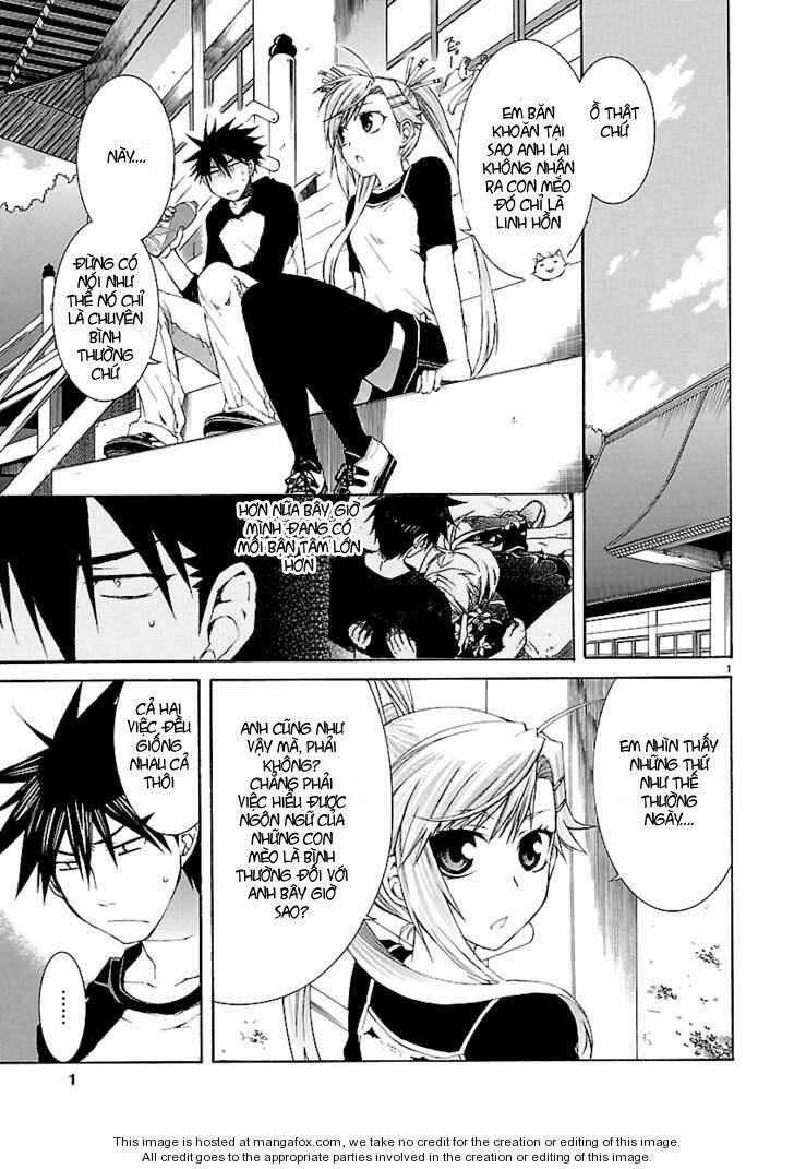 nyankoi! chapter 26 1