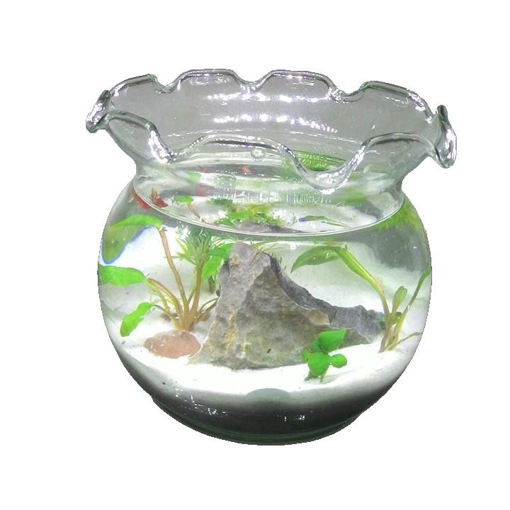Bể cá mini tai bèo B1 15x15x13.5cm
