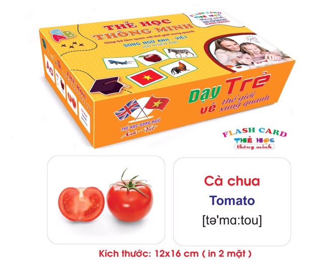 Đồ chơi thẻ học thông minh cho bé loại lớn 256 thẻ Flashcard Glenn doman