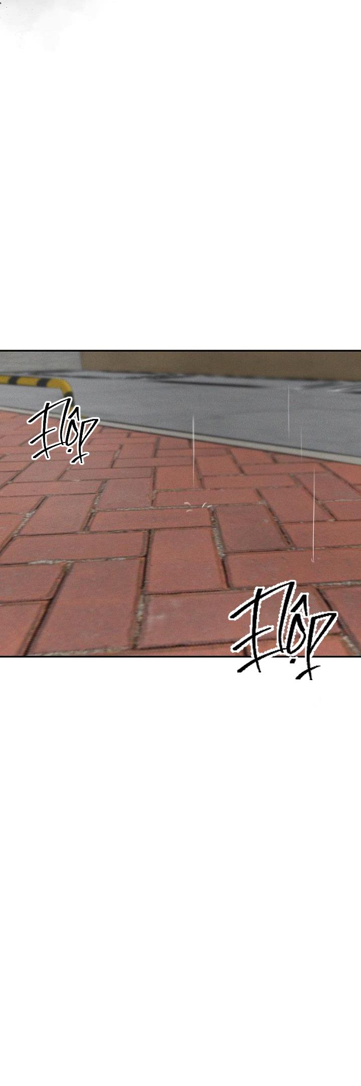 mặt trời của đêm chapter 19 21