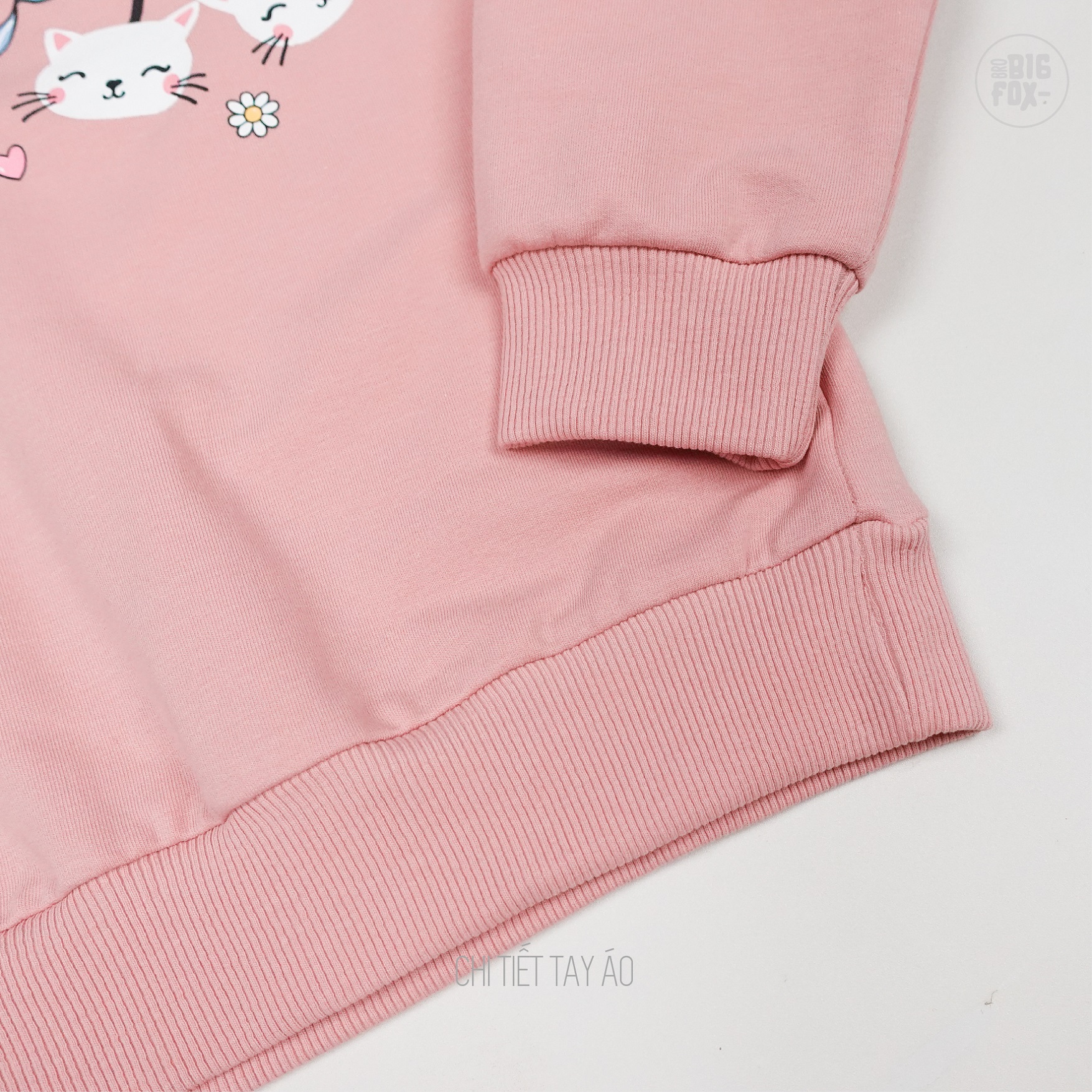 Bộ đồ thu đông cho bé gái Bigfox Miss meow size đại áo nỉ dài tay quần jogger cỡ trẻ em 3-11 tuổi