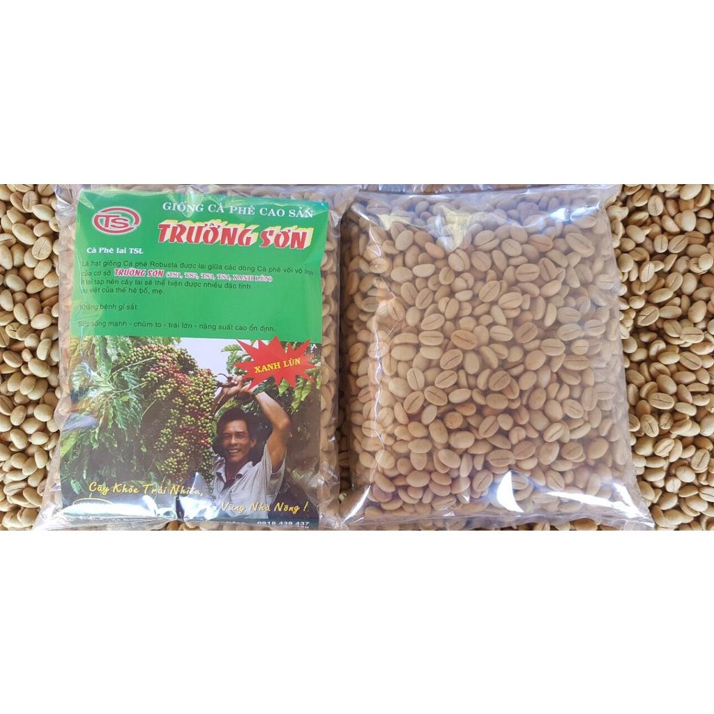 0,5 KG HẠT GIỐNG CÀ PHÊ XANH LÙN .