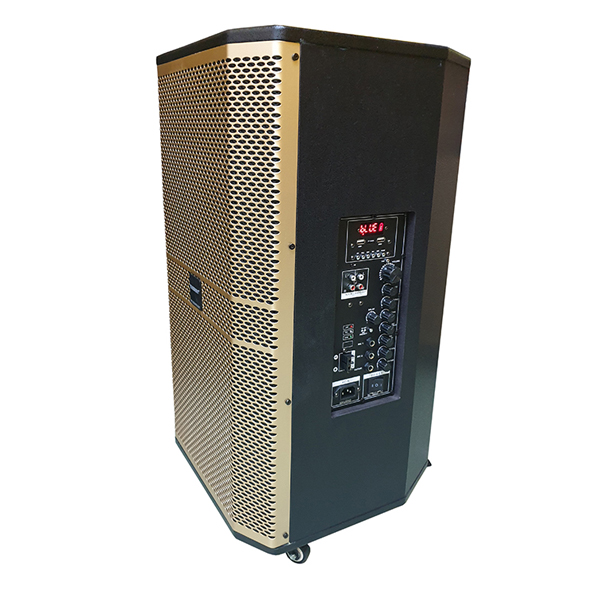 Loa karaoke di động Temeisheng ED-1506