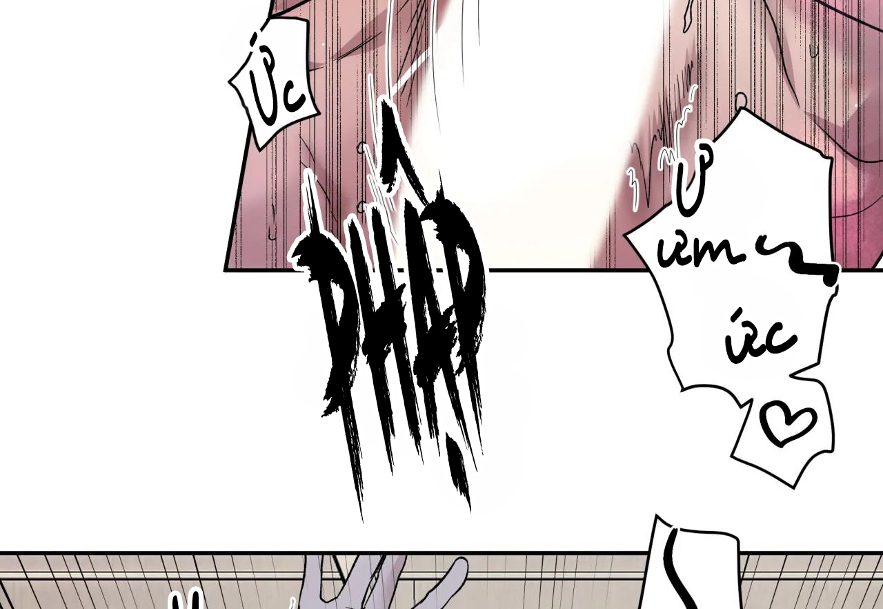 ám ảnh pheromone chapter 38 34