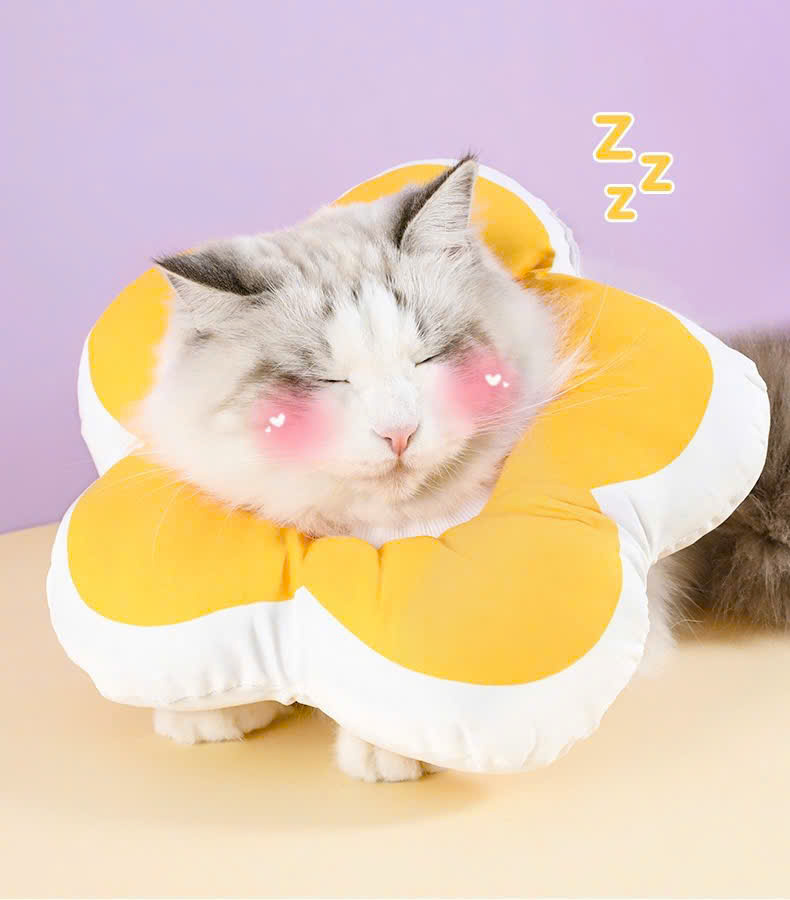 VÒNG CỔ THÚ CƯNG VÒNG CỔ LOA CHỐNG LIẾM CHO THỎ CHÓ MÈO BÔNG HOA DỄ THƯƠNG TỪ 0.5-5.5KG MÃ 10 CHO CHÓ MÈO THỎ