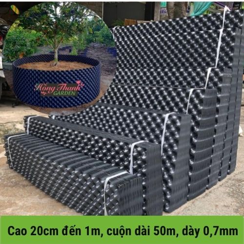 Bầu Ươm V6, Dày 0.7mm, Bầu Ươm Cây Thông Minh Cao 20cm đến 1m / Hồng Thanh Garden