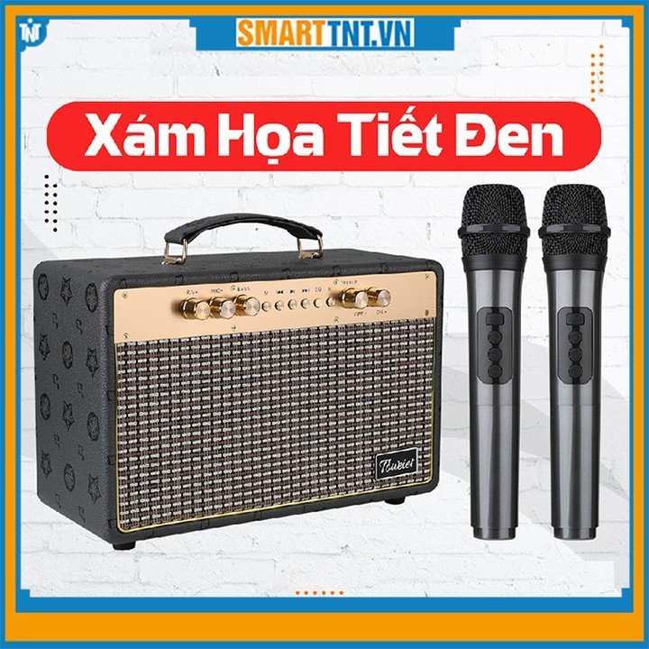 Loa xách tay bluetooth Toweier TW-318 kèm 2 micro không dây hát karaoke mới