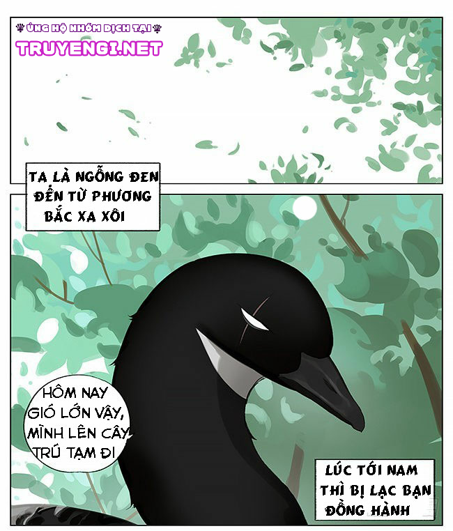 sẻ chiếu mới và nhạn phong sương chapter 7 1