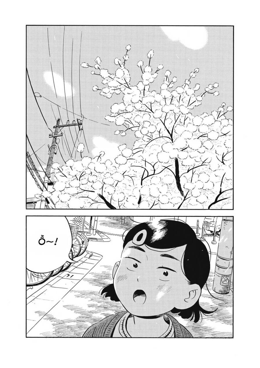 hirayasumi chapter 39 5