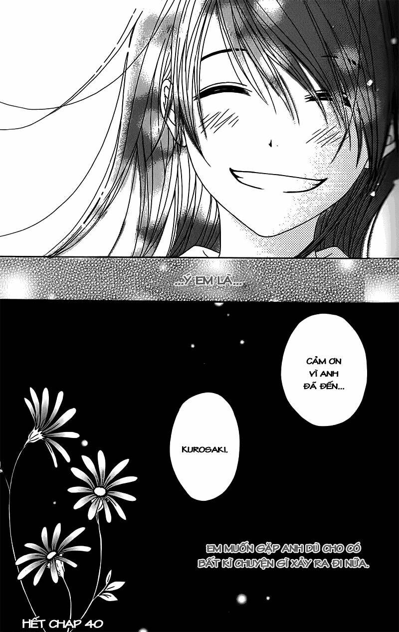 điện kích daisy chapter 40 41