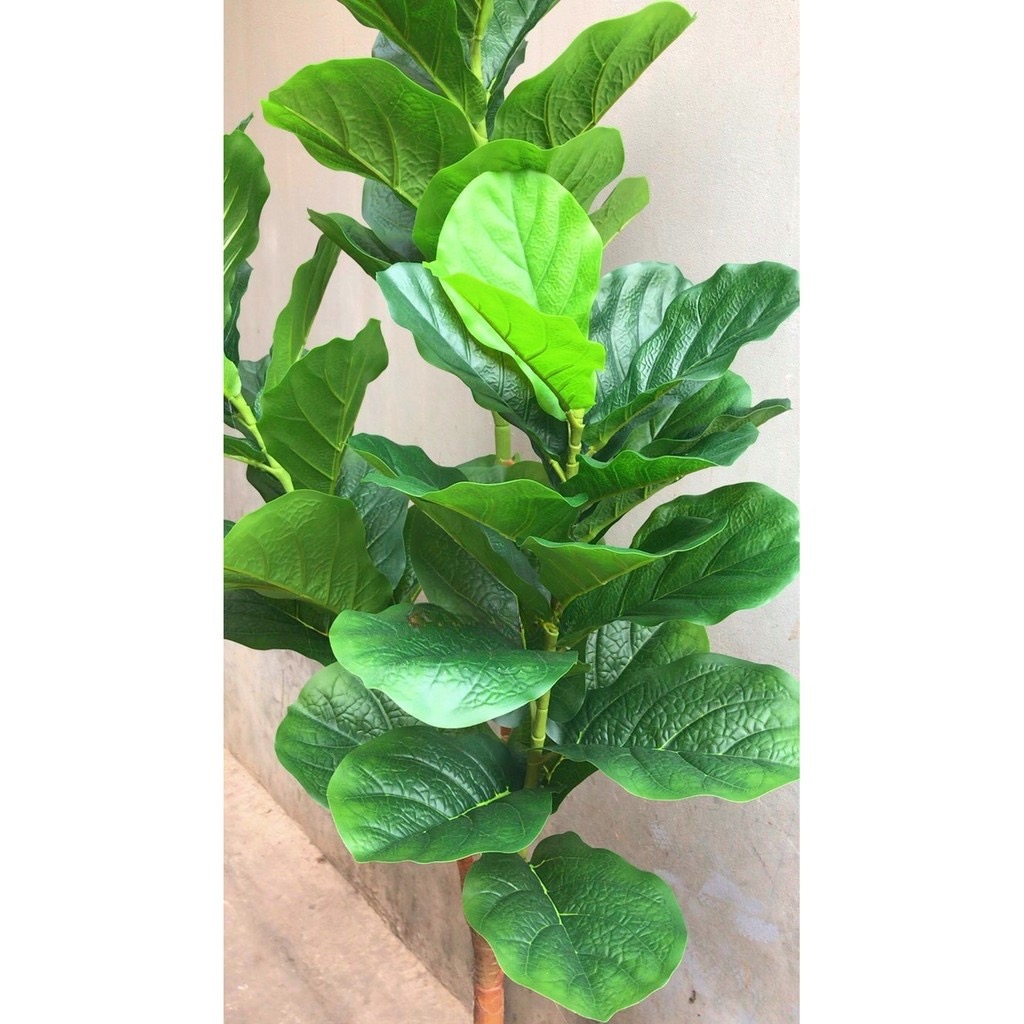 Cây bàng Đài Loan giả - Size 170cm - 3 nhánh - Cây giả, hoa lụa Decor trang trí nhà cửa