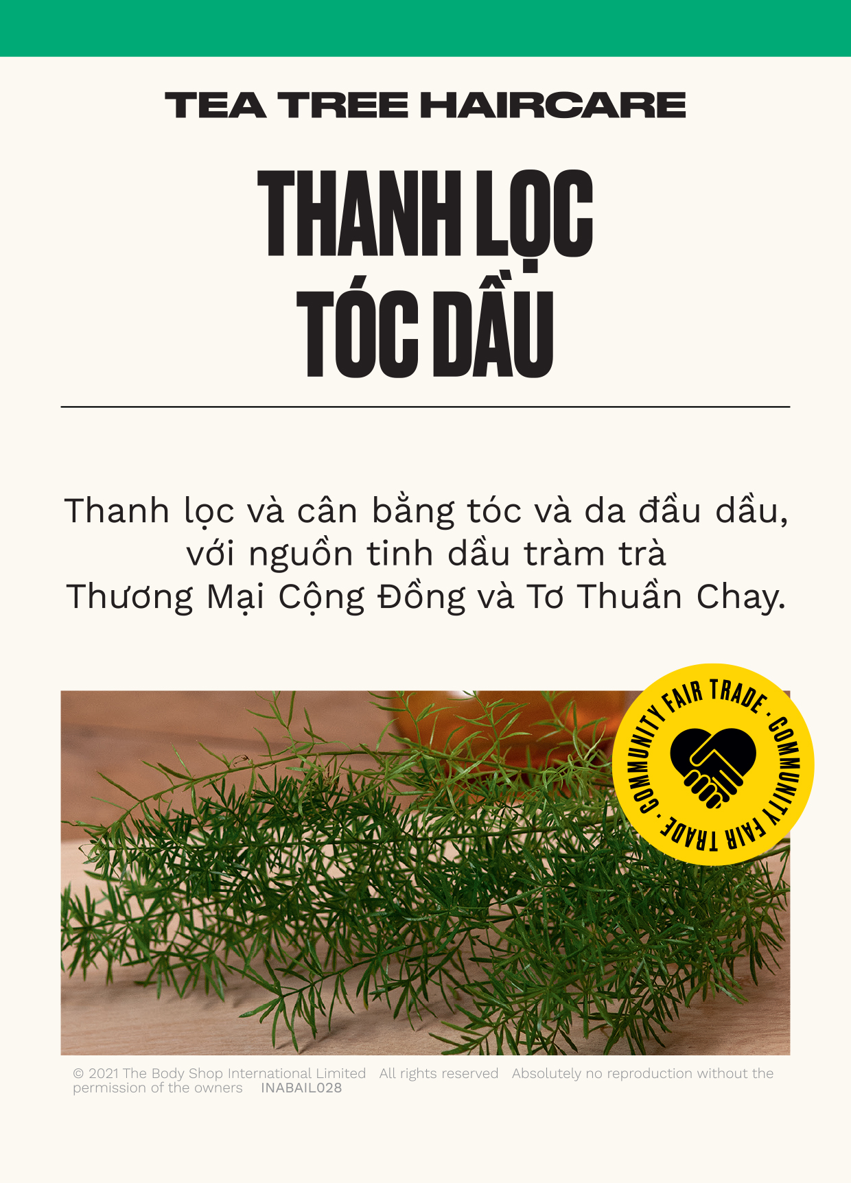 Tẩy Tế Bào Chết Da Đầu The Body Shop Hair & Scalp Scrub Tea Tree 240ml