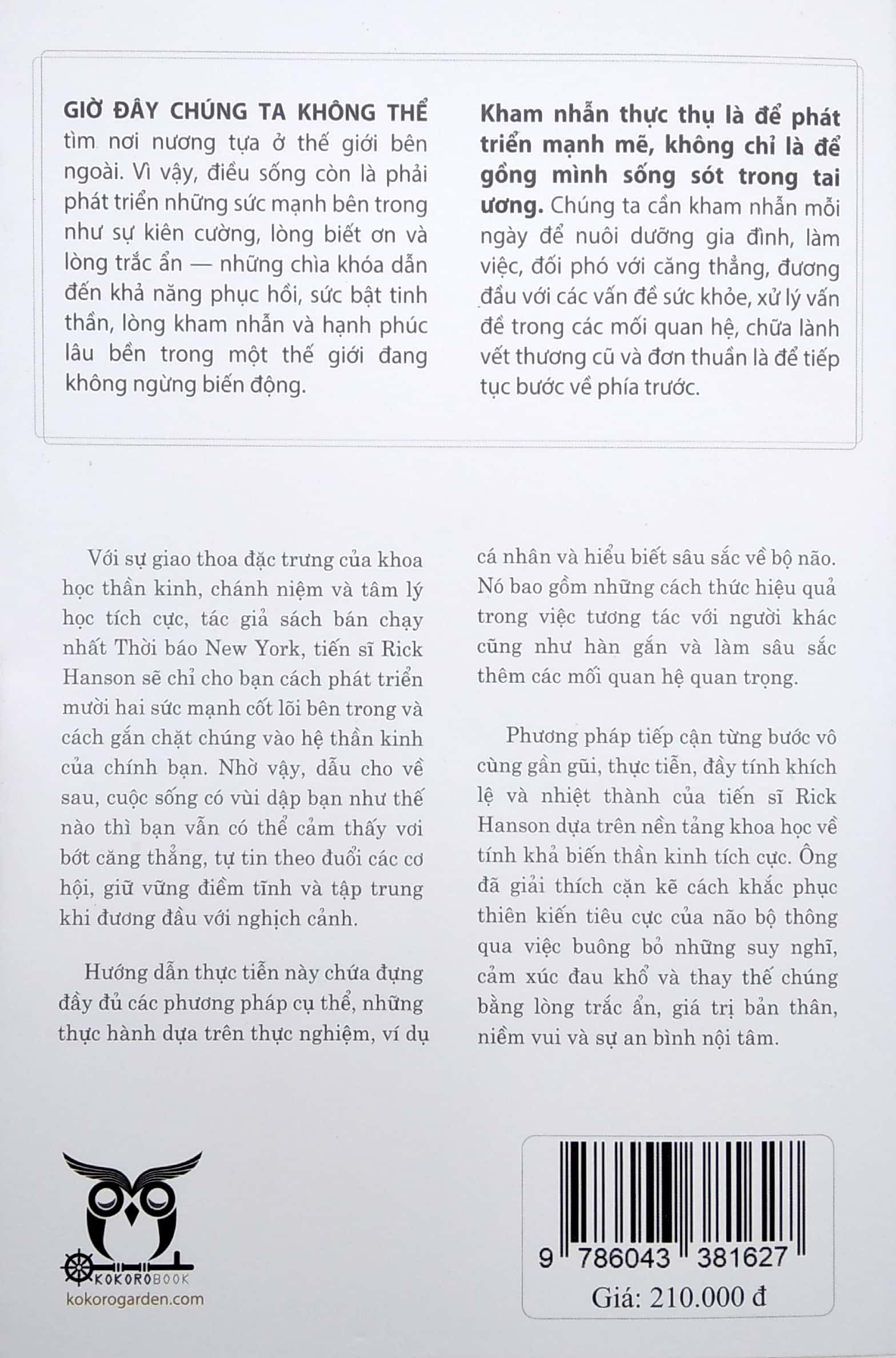 Kham Nhẫn - 12 Giá Trị Cốt Lõi Nuôi Dưỡng Tâm Hạnh Phúc, Kiên Cường Và An Bình Không Gì Lay Chuyển - Rick Hanson - (bìa mềm)