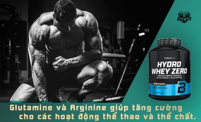 hydro-whey-zero-co-glutamine-va-arginine-657x400_5ad6dc60f5ef4f0cb6b4212ce543d1ba.jpg