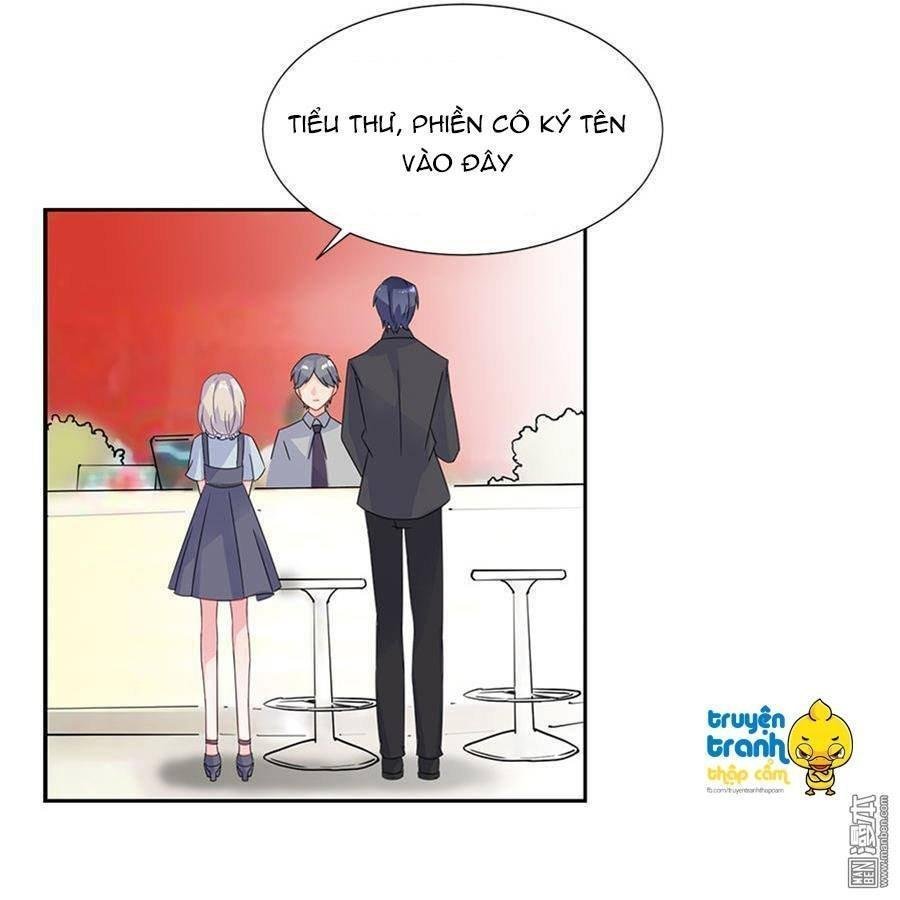 nhạ thượng thủ tịch tổng tài chapter 162 14