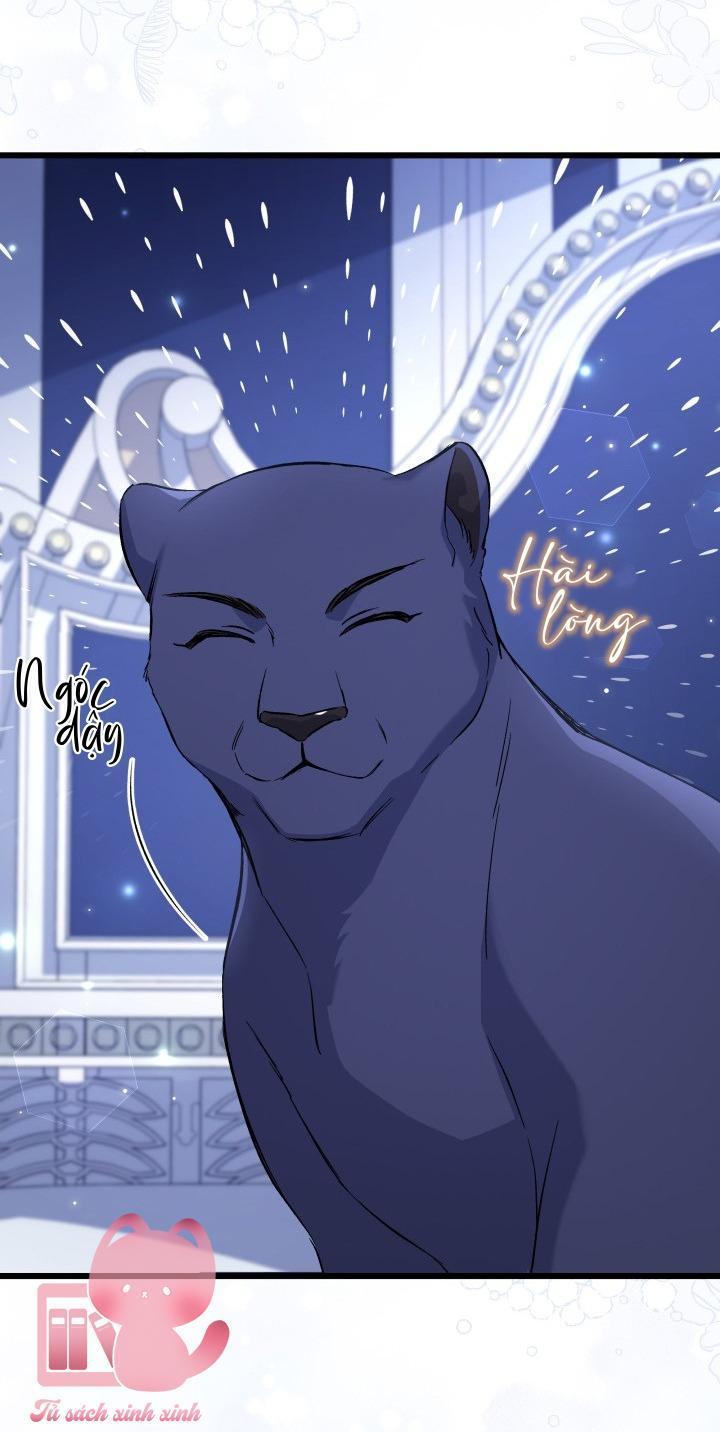 quan hệ cộng sinh giữa báo đen và thỏ trắng chapter 92 60