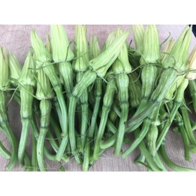 Hạt Giống Bí Siêu Nụ - Bí Ăn Nụ 10gr