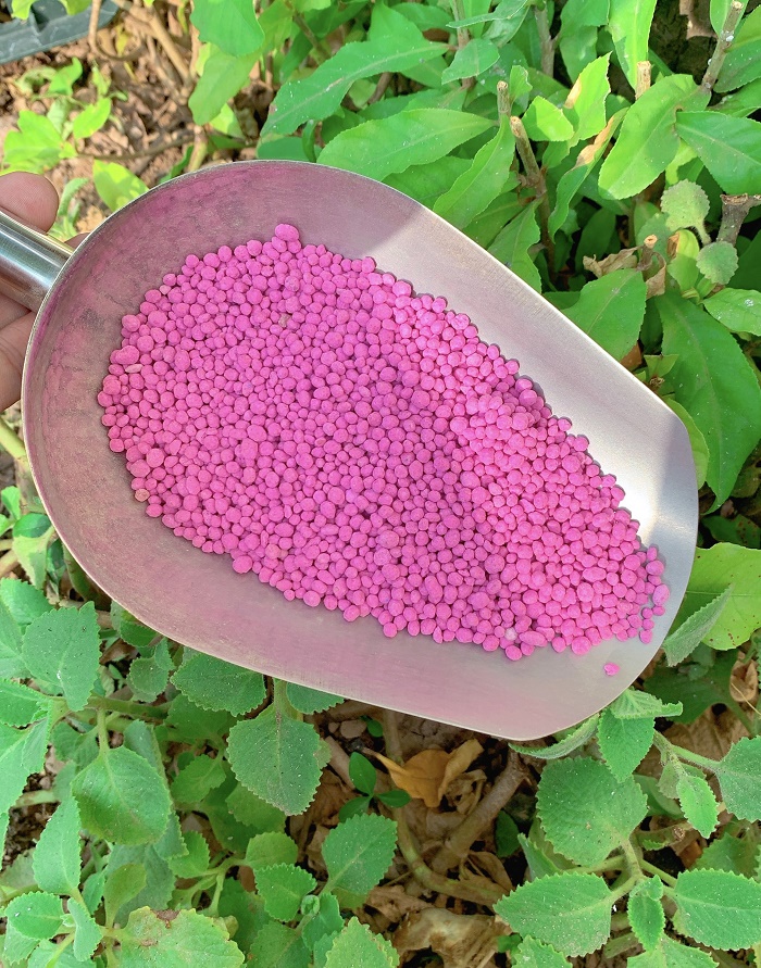1kg Phân bón Đầu Trâu NPK 16-16-16 +TE chuyên cho cây ăn quả, hoa cây cảnh và rau màu