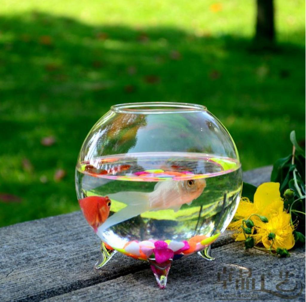 10Pcs Glass Flower Vase Micro Landscape Fairy Garden DIY Terrarium Bottle