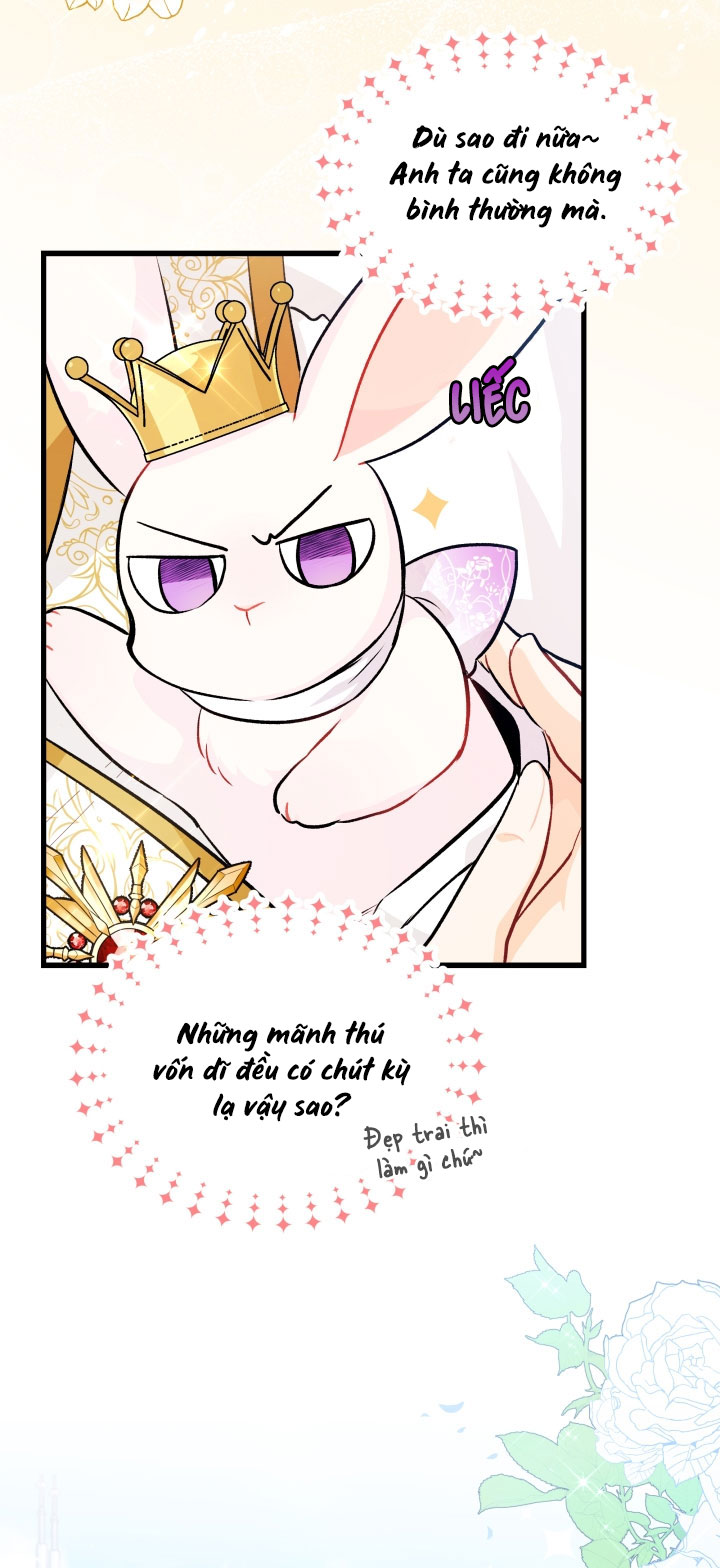 mối liên kết giữa báo đen và bé thỏ chapter 17 36