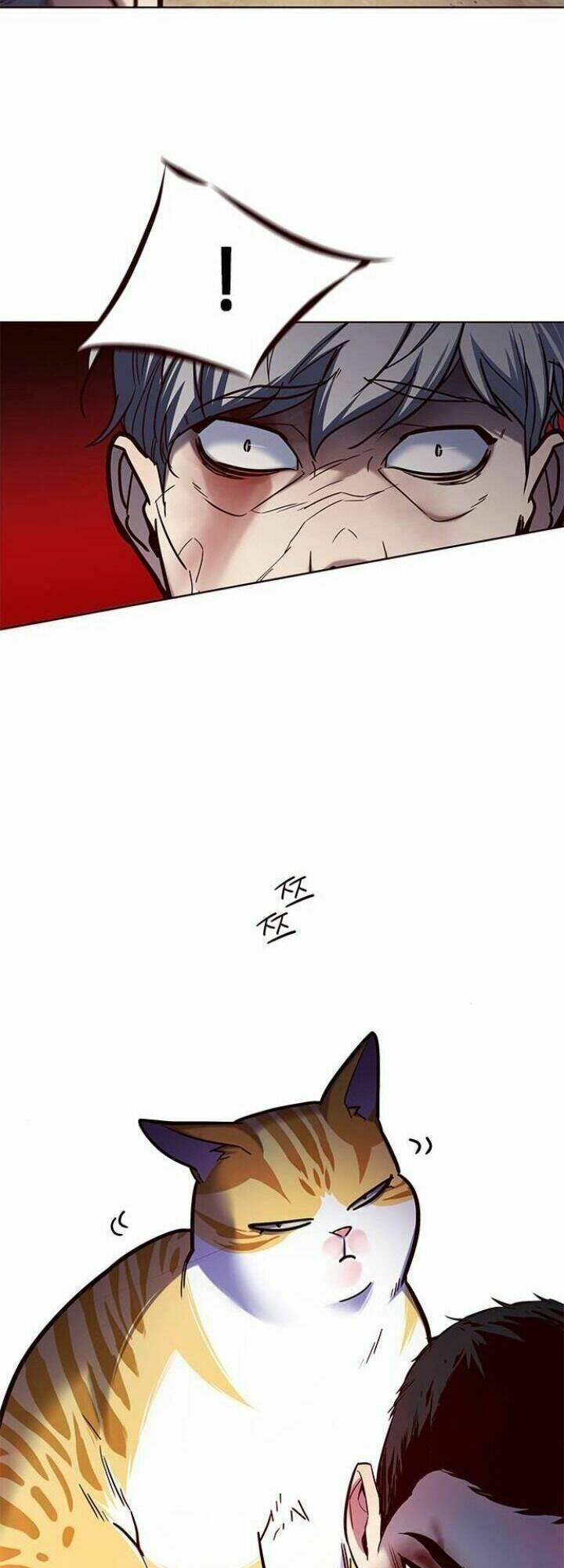 biến thân thành mèo chapter 112 60