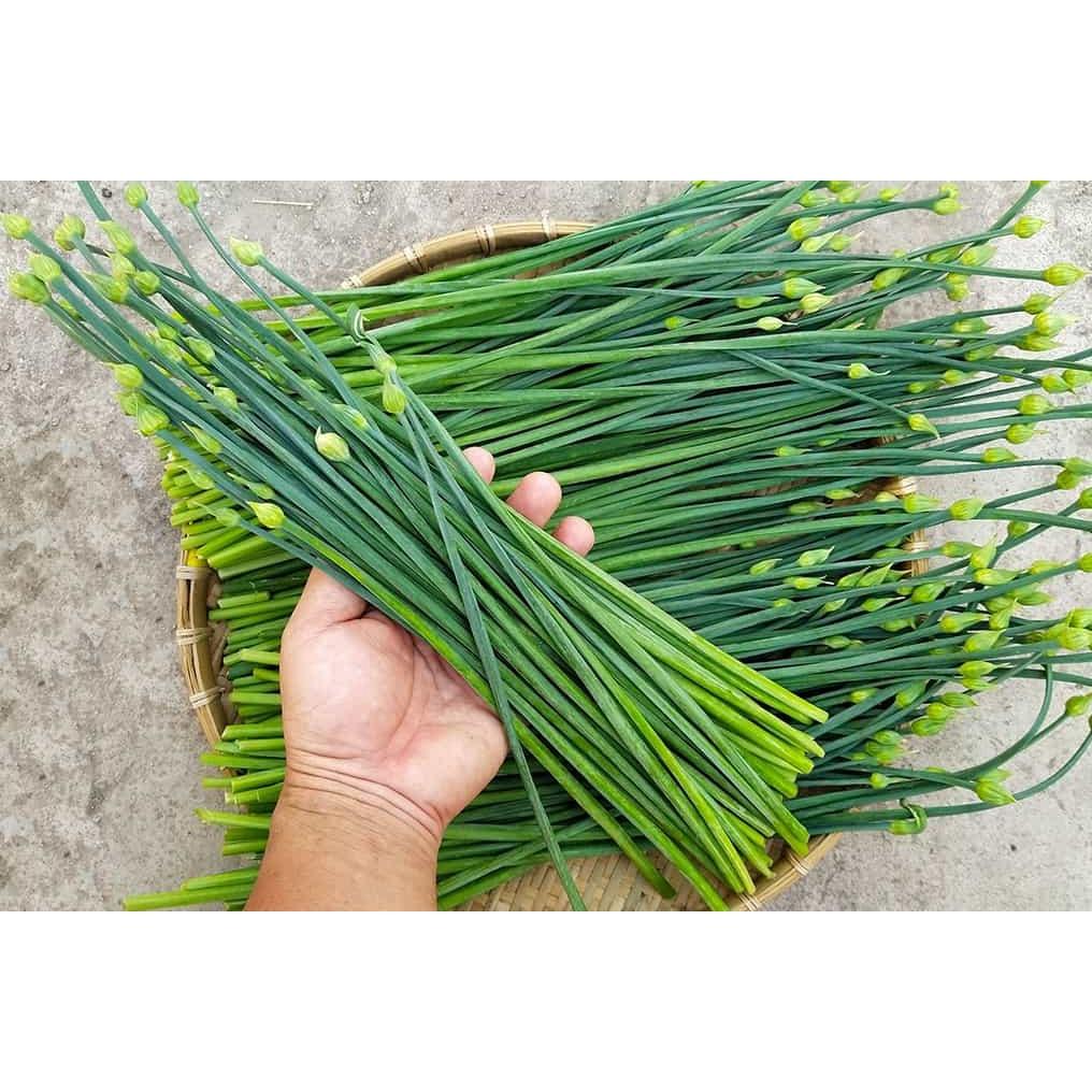 Hạt Giống Hẹ Ăn Bông Rạng Đông Dễ Trồng - Gói 1g.