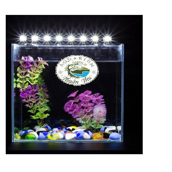 Đèn led chìm Caibao cho bể cá nhiều màu/size màu vàng trắng xanh hồng xanh dương 3 màu RGB 30 40 50 60 80 100 120cm