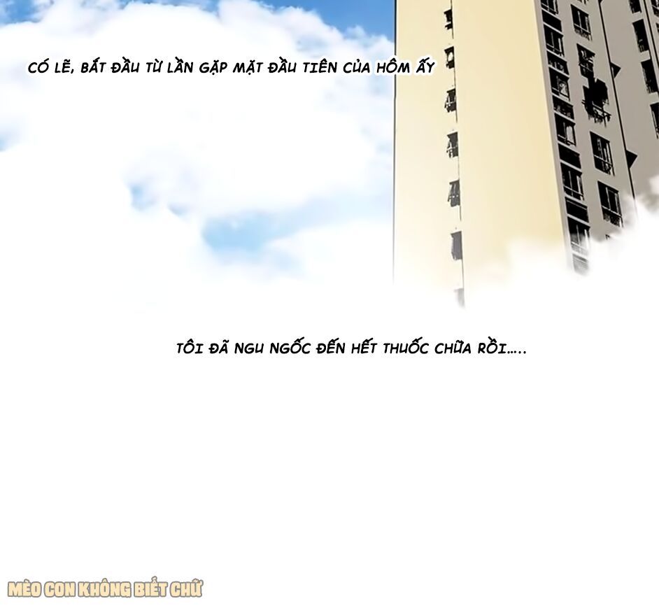 không có ssr làm sao để yêu chapter 12 14