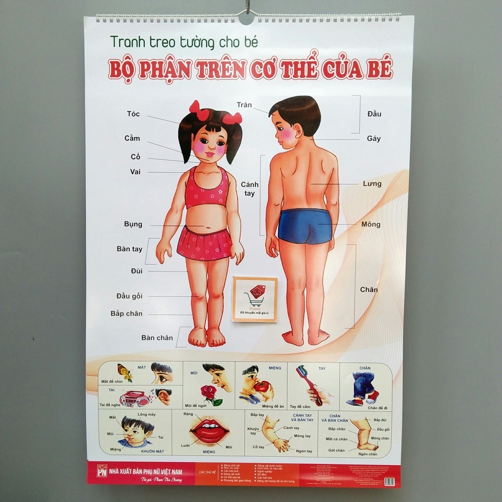 Bộ Tranh Treo Tường 14 Chủ Đề Về Thế Giới Xung Quanh Cho Bé Từ 1-5 Tuổi Đa Dạng Chủ Đề Tăng Khả Năng Nhận Biết Cho Trẻ