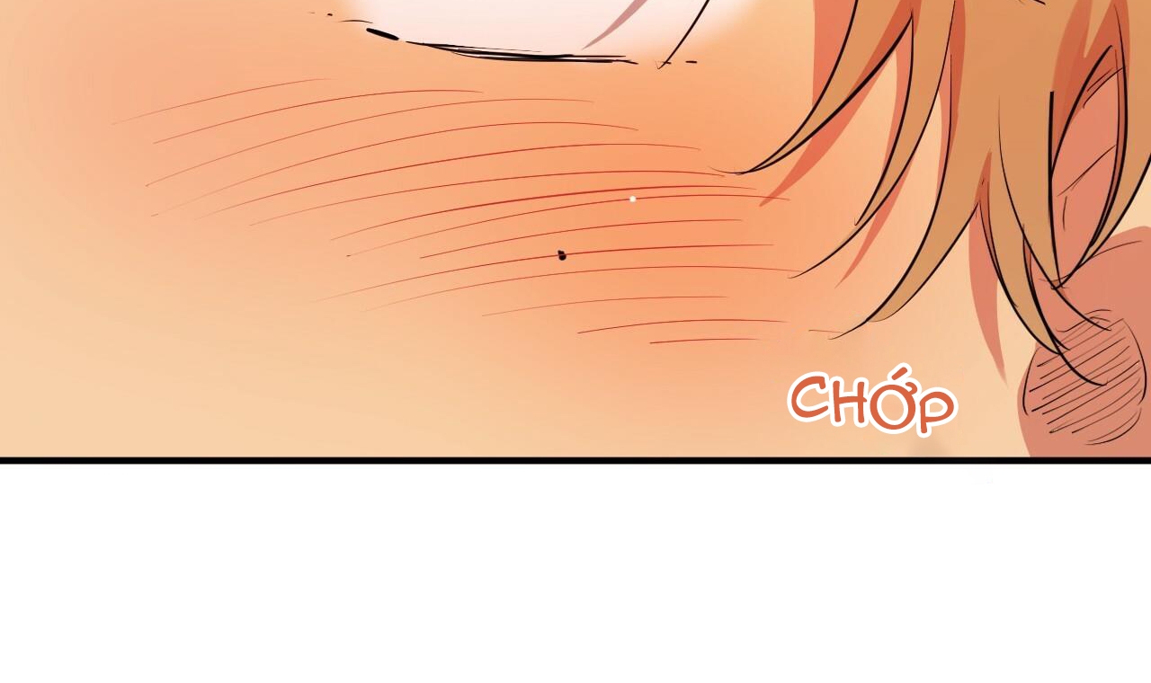 đàn thỏ của habibi chapter 38 170