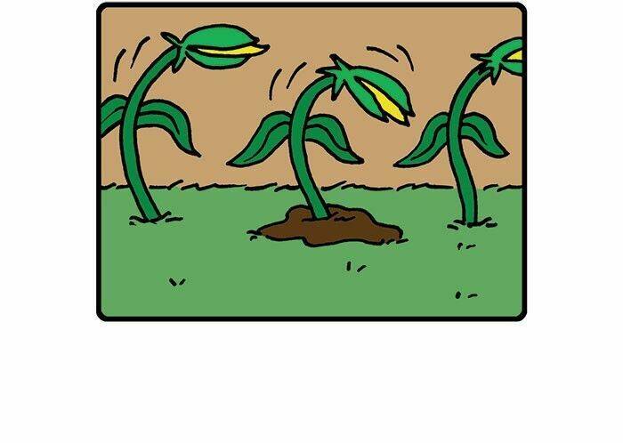 hapi buni chapter 15 5