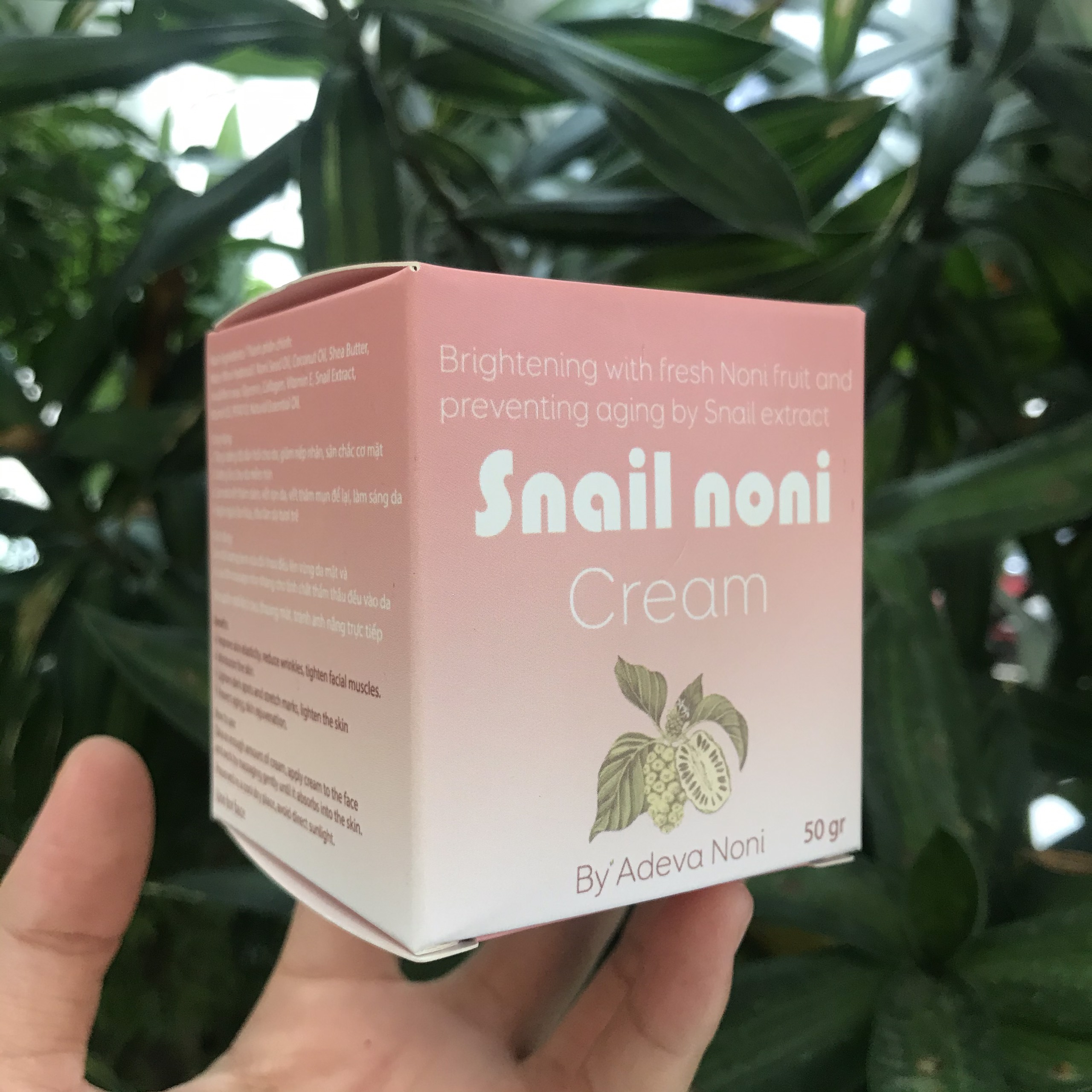 Kem dưỡng Trái nhàu Adeva Noni (50 gr/ 1 hộp) - Adeva Noni cream - Dưỡng da mặt ban đêm, kem dưỡng từ thiên nhiên cho da mềm mại