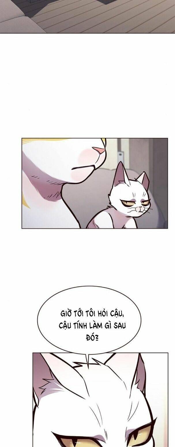 biến thân thành mèo chapter 173 32