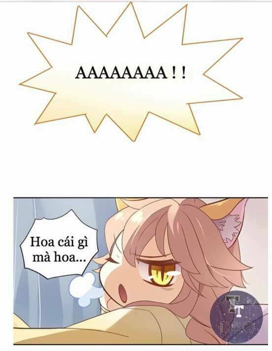 dưới móng vuốt mèo chapter 2 38