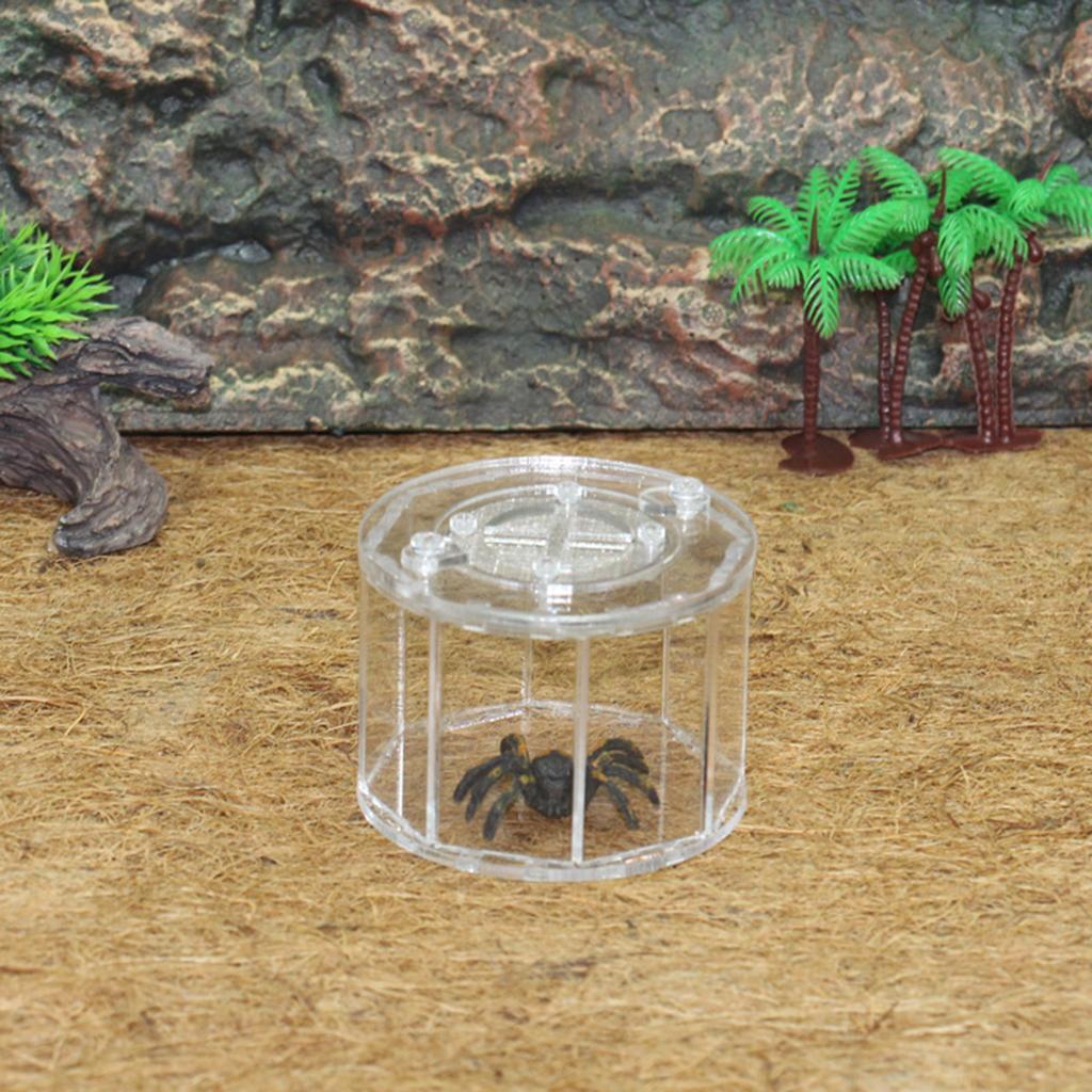Spider Insect Reptile Tank Vivarium Cage Box Transparent Acrylic Terrarium