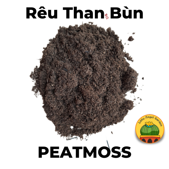 1 Kg Rêu Than Bùn Peatmoss | Chiết lẻ từ bao lớn 70l