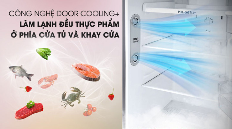 Công nghệ DoorCooling+  - Tủ lạnh LG Inverter 255 lít GN-M255PS