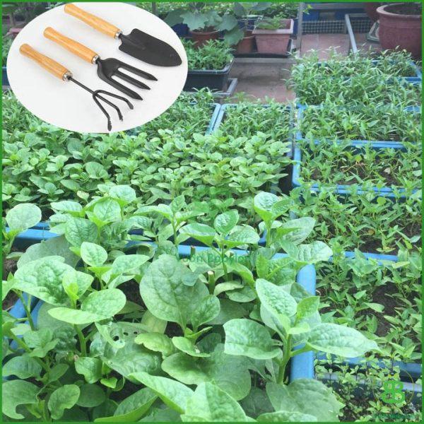 BỘ DỤNG CỤ ĐÀO XỚI ĐẤT TRỒNG CÂY SÂN THƯỢNG 3 MÓN LOẠI LỚN